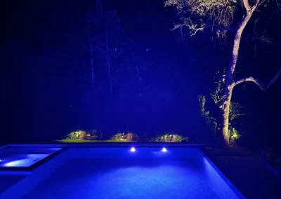 Lighting and Irrigation Installation